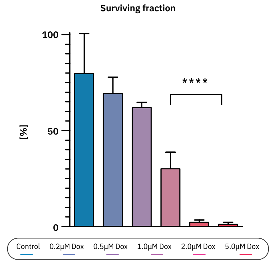 Figure 3: Dox reduces the surviving fraction of CHO-K1 colony  formation. Surviving fraction of all treatments vs. control (mean ±  standard error of mean).