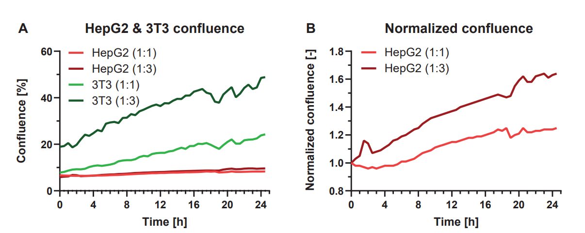 Figure 2. A) Confluence increase of the red fluorescence channel (HepG2 cells) and green fluorescence channel (3T3 cells) at a co-culture ratio of 1:1 (HepG2 : 3T3; light colored lines) and 1:3 (HepG2  : 3T3; dark colored lines). B) Normalized increase in confluence of HepG2 cells seeded at a co-culture ratio of 1:1 (HepG2 : 3T3) and 1:3 (HepG2 : 3T3). 