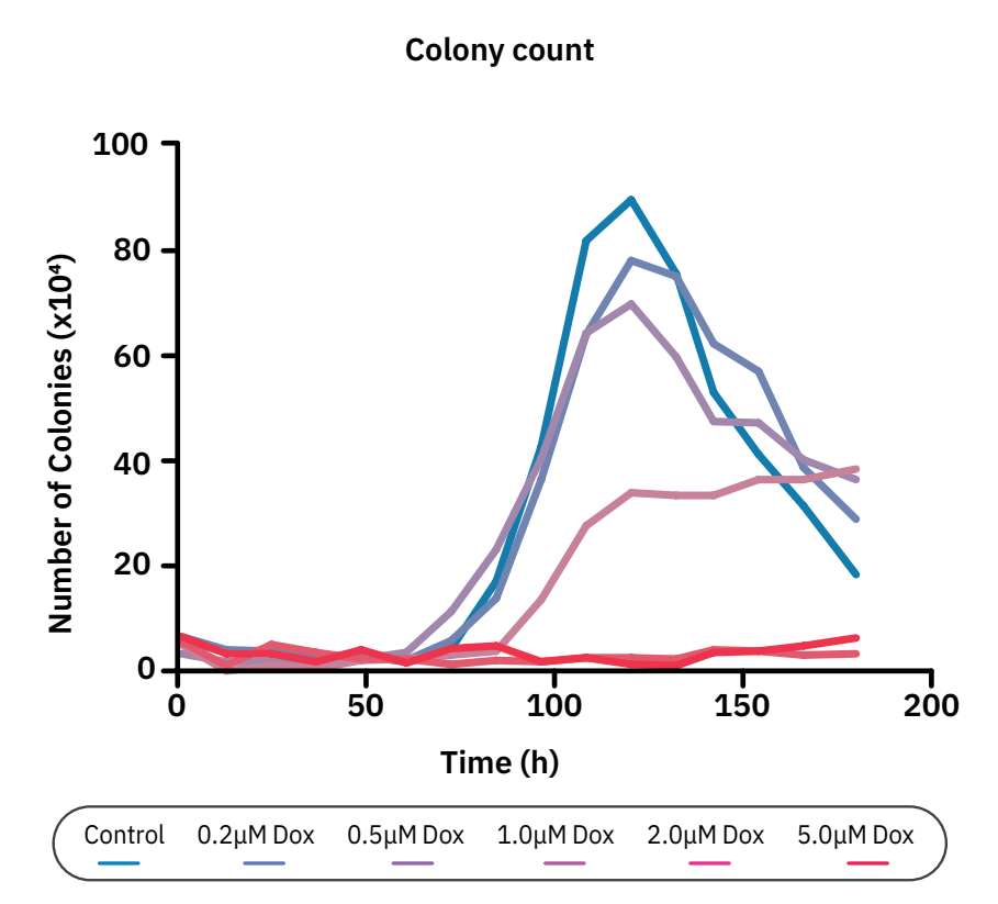Figure 2: The number of CHO-K1 colonies in the first 170 hours  of the clonogenic assay is dependent on the Dox concentration.  The colonies start to merge in the control (CRTL), 0.2 µM Dox, and  the 0.5 µM Dox group at 120 hours indicating the tipping point.
