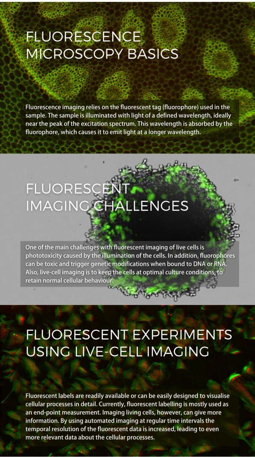 Fluorescence imaging infographic