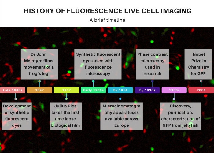 A brief timeline of fluorescence live-cell imaging history