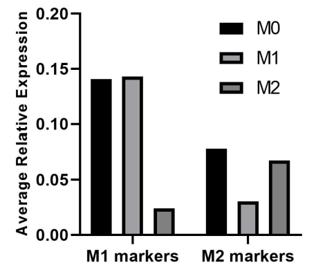 Average expression of marker gene expression per macrophage type