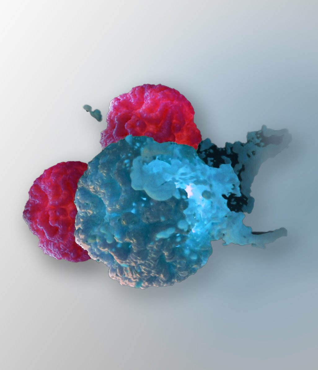 Immuno oncology imaging assays