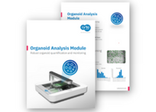 Organoid Analysis Module